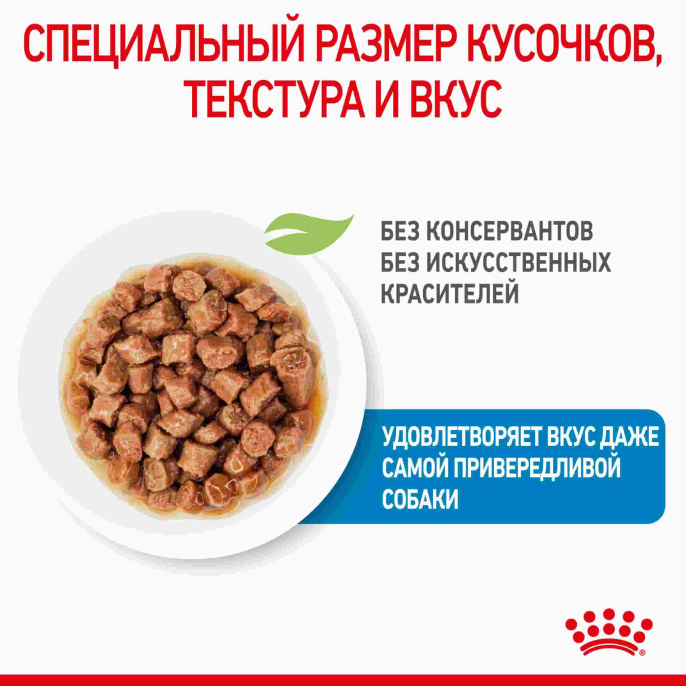 Влажный корм для щенков мелких пород Royal Canin X-Small Puppy (соус) (85 гр*12 шт)