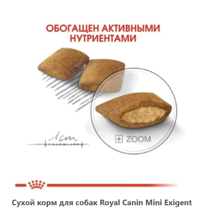 Сухой корм для собак Royal Canin Mini Exigent (1 кг)