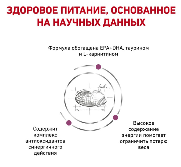 Сухой корм для собак Royal Canin Cardiac (2 кг)