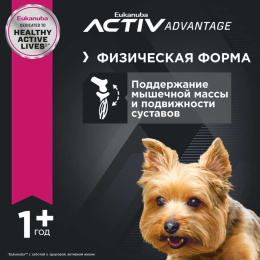 Сухой корм для собак Eukanuba Adult Toy Breed (птица)