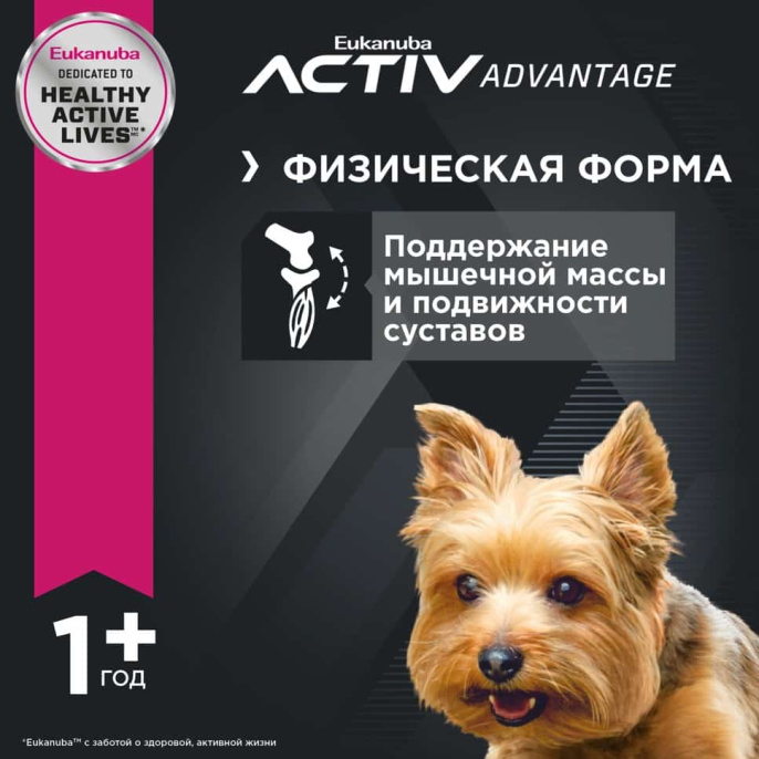 Сухой корм для собак Eukanuba Adult Toy Breed (птица) (0.8 кг)