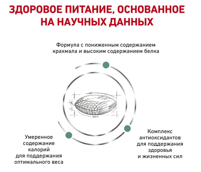 Сухой корм для кошек Royal Canin Diabetic Cat (0,35 кг)