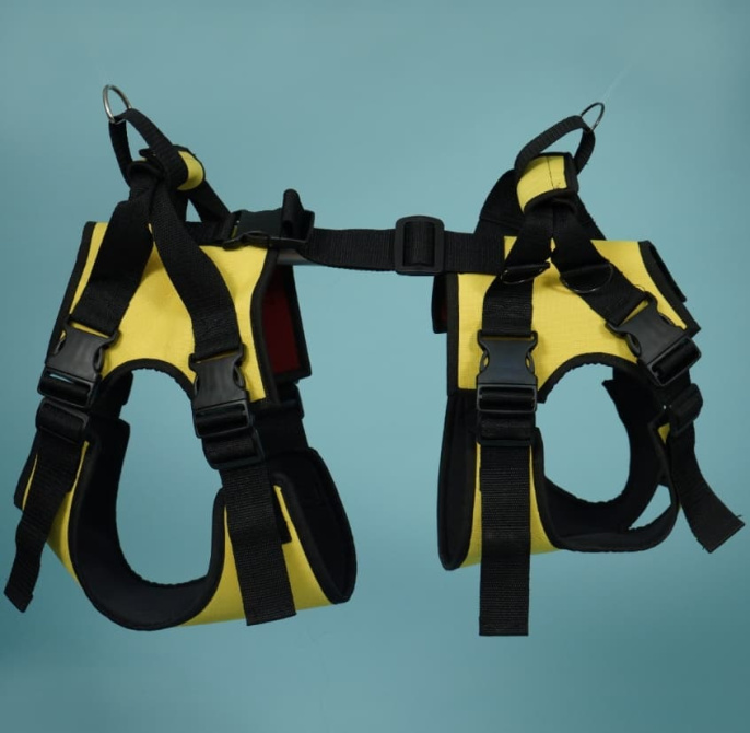 Веда Сборная поддержка для собак