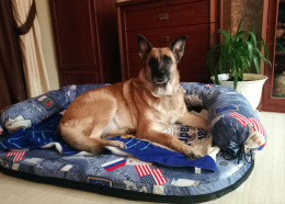 Диван для собак Triol Фаворит Гранд